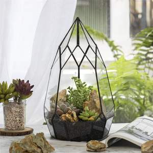 Brass Glass Pentagon Regular Geometric Terrarium Container Miniature Outdoor <b>Fairy</b> Garden <b>Gift</b> Customized Size & Style - Product Image 2