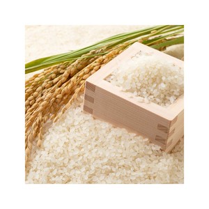 Japonica Rice 5% Broken Premium Export Grade, approvisionnement en vrac abordable - Product Image 2