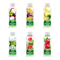 450ml fles natuurlijk fruitsap OEM ODM Private Label drankenfabrikant Vietnam