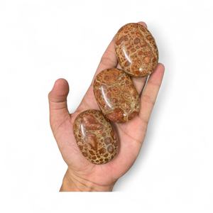 Vente en gros de pierres de paume ovales en jaspe guépard rouge de qualité supérieure MUNTAHA AGATE, cristal de guérison poli pour la collection de Feng Shui - Product Image 1