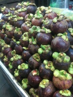 Premium Vietnamese verse mangosteen, zoet wit vruchtvlees, tropisch fruit, export leverancier