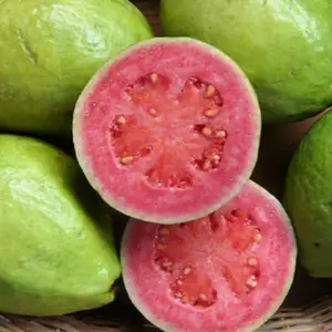 Guava de frutas congeladas, rosa congelado de alta qualidade/bom preço