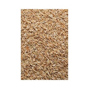 Arroz Premium Pusa Basmati Golden Sella procesado higiénicamente para supermercados y cadenas minoristas - Product Image 4