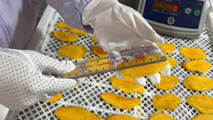Leading Factory Exporting Bulk Organic AD Dried Mango Slices From Vietnam-Fully Ripe Fruits - Product Image 6