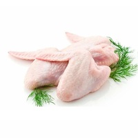 Proveedor Mayorista de Alas de Pollo Congeladas BQF, Parte del Cuerpo del Pollo, Sin Azúcar, Envasadas al Vacío, Origen Reino Unido, 10 kg, 12 Meses de Duración, en Venta a Precio Económico