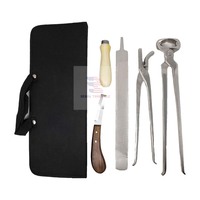Kit d'outils de fermeur vétérinaire pour chevaux : Pince à sabots, Râpe, Marteau, Couteau, Lime – Réutilisable en acier inoxydable