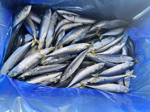 Gran oferta, MARISCOS CONGELADOS, caballa del Pacífico, pescado entero, paquete al vacío, bajo en carbohidratos, bajo en grasa, la mejor calidad a buen precio - Product Image 2