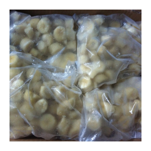 IQF Frozen Banana Vietnam Origin Sweet Natural Slices <b>for</b> Food Processing Beverage Shops and Bulk Wholesale - Product Image 5