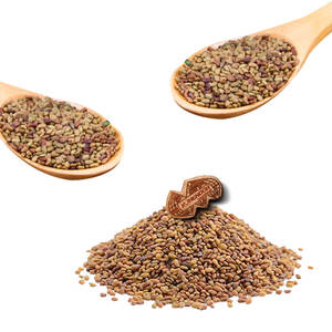 Luzerne | Produit de fourrage nutritionnel | Utilisation de bien-être à base de plantes - Product Image 5