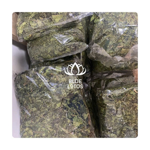 Hojas de Papaya Secas 100% Naturales de Primera Calidad y Semillas de Papaya para Hacer Té Blue Lotus Ms Amelia +84 855014447 - Product Image 4