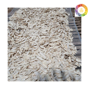 Meilleur os de seiche séché fabriqué au Vietnam Fournisseur de haute qualité 100% Vente en gros de fruits de mer naturels Os de seiche séchés - Product Image 5