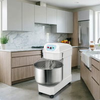 Machine à pétrir la pâte pour nouilles 25 kg, grande machine à pétrir la pâte pour l'industrie de la boulangerie