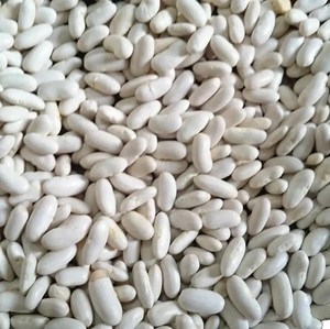 ถั่วแดงแบบไม่ใช้ GMO ถั่วไตขาวถั่วดำ