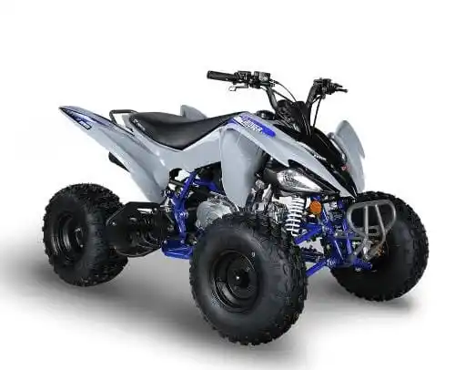 Goedkope Korting Verkoop 250cc Atv Quad Buggy Utv Off Road Motorfiets Te Koop