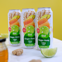 Jus de fruits et légumes 100% naturel, purée d'orange fraîchement pressée, 16,9 fl oz, sain, OEM ODM Vietnam, marque privée, en conserve