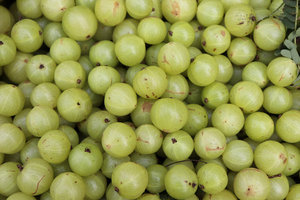 Amla india congelada de alta calidad, superalimento natural congelado rápidamente en su punto de máxima frescura, suministro a granel, calidad de exportación, fruta cítrica fresca - Product Image 5