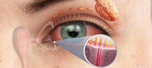 อุปกรณ์2024ตาความร้อนแบบไม่มีไฟฟ้าเอาท์พุทแม่เหล็กไฟฟ้า110V ผิวหนัง - Product Image 4