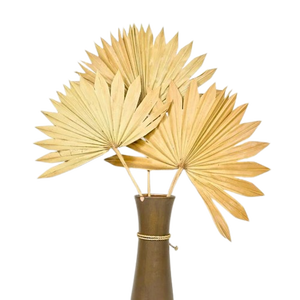 Hojas de Palma Lanza Hojas de Palma naturales Palma Lanza Día DE LA MADRE Día de San Valentín Navidad Gracias Regalos por cada vez - Product Image 1