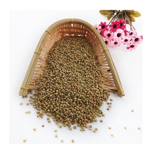 Lentilles vertes/Lentilles vertes biologiques prêtes à l'exportation - Product Image 1
