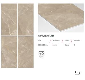 Azulejos de Porcelana de Diseño Moderno y Exclusivo de 600x1200 con Acabado Brillante para Interiores de Baños, Villas y Escuelas - Product Image 2