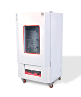 Four à air chaud EIE, intérieur en acier inoxydable, température maximale 250°C, puissance nominale 2 kW, modèle EIE-101DP, équipement de séchage de laboratoire 1
