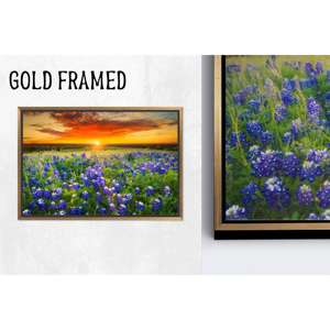 Impression sur toile élégante Bluebonnet Field Print - Décoration murale moderne en verre, 1P Goldframedcanvas - Product Image 1