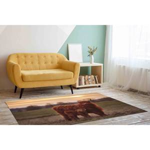 Highland Cow Printed <b>Rug</b> - Tropical, Coastal, Animal, Soft, Machine Washable,<b>Chenille</b> <b>Rug</b> - Product Image 4