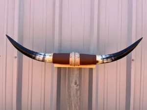 Paire de taureaux montés Longhorn de boeuf poli pour Art mural Décoration murale occidentale Paire de cornes de vache Bull Décoration occidentale - Product Image 6