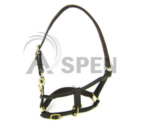 Cabestro de caballo de cuero Premium con herrajes de Latón | Diseño acolchado ajustable. - Product Image 5