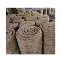 Corde de fibre de coco torsadée naturelle de meilleure qualité utilisation extérieure et de jardin durable pour l'application de pépinière