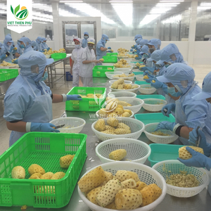 Meilleur prix de gros Agriculture Style frais ananas séché gingembre-pour le stockage congelé grande quantité disponible pour l'exportation - Product Image 6