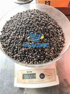 Prix de gros d'usine vietnamien cru séché AD poivre noir épices goût épicé Contacter Mme Quincy WS + 84 858080598 - Product Image 3