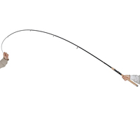 Canne à pêche télescopique portable en carbone 2,1-4,2 m, action rapide, puissance moyenne-lourde, légère, poignée en liège, 200g, pour lac/rivière