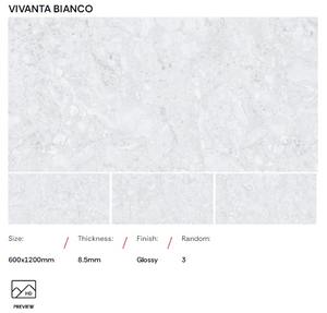 Azulejos de Porcelana para Baño y Balcón, Estilo Clásico Indio Antiguo, 600x1200mm, Brillante, Antideslizante, de Alta Calidad - Product Image 2