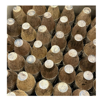 Pot de coco de noix de coco de qualité supérieure pot de coco décoratif jardinière pour fleurs herbes légumes adapté au jardin balcon décor à la maison
