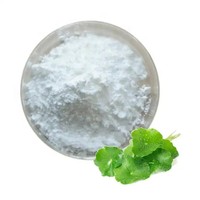 Centella Asiatica Naturelle 20% Triterpènes Qualité Alimentaire Vente en Gros Haute Qualité Emballage en Fût Extrait de Centella en Poudre en Vrac