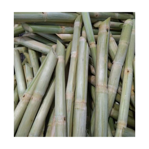 ผู้ขายชั้นนำในเวียดนามจัดหาอ้อยแช่แข็งที่มีคุณภาพพร้อมส่งออกทั่วโลกในราคาที่แข่งขันได้ - Product Image 6