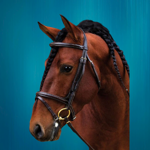 Brida de cuero Quality Diamante SidePull para caballo, novedad 2018, superventas, alta calidad, tamaño y logotipo personalizables - Product Image 6