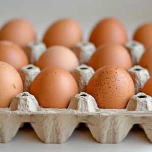 Fresh Brown Table <b>Eggs</b> /Chicken <b>Eggs</b>, Sell At Best Rate Farm Fresh Chicken Table Brown <b>Eggs</b> - Product Image 3