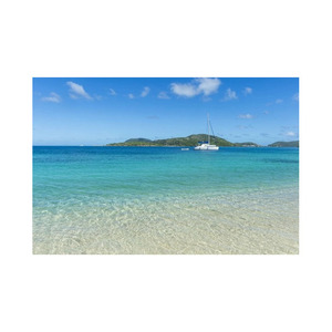 Troncos de haya de calidad superior para artículos de madera duraderos y hermosos disponibles a granel - Product Image 6