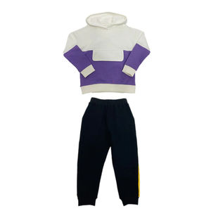 Conjunto Deportivo de Dos Piezas para Niños, Sudadera y Pantalones Deportivos con Logotipo Personalizado Premium, Estilo Urbano Informal, Diseño de Bloques de Color - Product Image 4