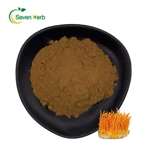 Organic Cordyceps Mushroom Extract Cordyceps Polysaccharide 50% Cordyceps Sinensis Extract Powder for Health