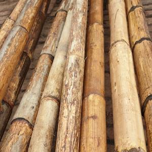 เสาหวายขัดเงาคุณภาพสูงสําหรับเฟอร์นิเจอร์ เสาหวายทุกขนาด เสาหวายแห้งสําหรับทําสวนและก่อสร้าง - Product Image 5
