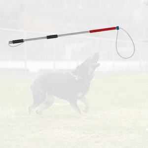 Poteau de Contrainte Professionnel en Acier Inoxydable pour Animaux à Bas Prix - Product Image 6