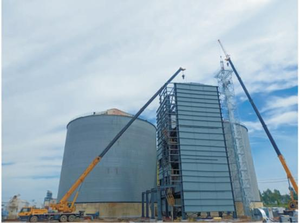 Silo de stockage de grains en acier personnalisé standard de capacité de 1000/2000/5000 tonnes à vendre - Product Image 2