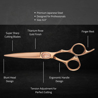 Ciseaux de coiffeur en gros Ciseaux de salon de beauté allemands en acier inoxydable enduits de couleur or rose avec pochette en cuir à fermeture éclair