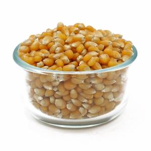 Maíz Amarillo de Primera Calidad para Consumo Humano y Alimentación Animal, Venta al Por Mayor, Exportación, Suministro a Granel, Maíz Natural de Alta Calidad - Product Image 4