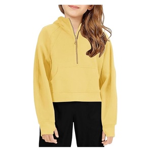 Fabricant du Bangladesh, exportateur de sweats à capuche pour bébés et enfants, en molleton 100% coton, qualité d'exportation, prix bas, imperméable, décontracté, manches longues, pour l'hiver - Product Image 1