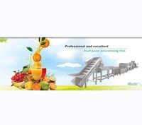 Industriële Elektrische Schroefsap Extractor/Vruchtensap Productielijn/Citroenappel Passievrucht Mango Verwerkingslijn