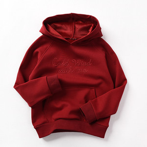 Sudadera con Capucha de Franela de Algodón de Bambú al por Mayor, Color Liso, Logotipo OEM, Sudadera con Capucha Gruesa de Algodón para Niños y Niñas - Product Image 1